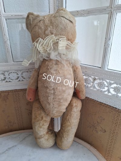 画像13: JPMテディベア