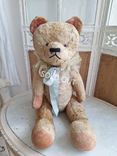 画像2: JPMテディベア