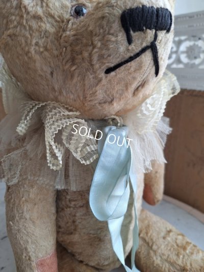 画像5: JPMテディベア