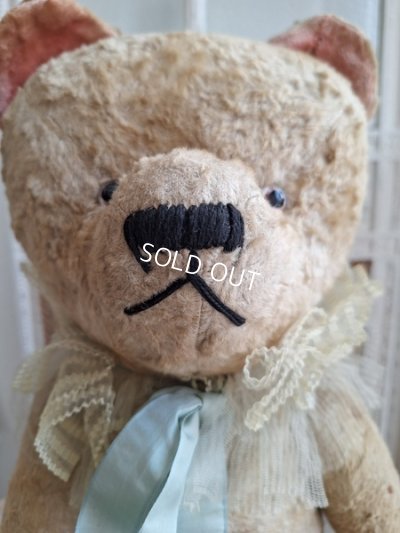 画像4: JPMテディベア