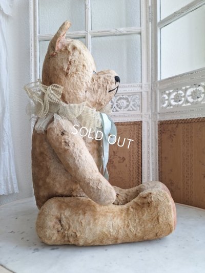 画像12: JPMテディベア