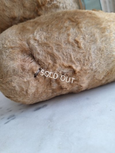 画像22: JPMテディベア