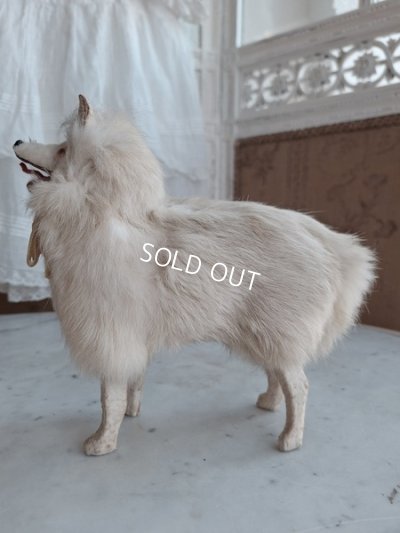 画像6: LouLouドッグ