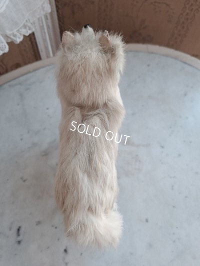 画像15: LouLouドッグ