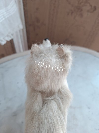 画像10: LouLouドッグ