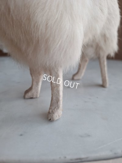 画像16: LouLouドッグ