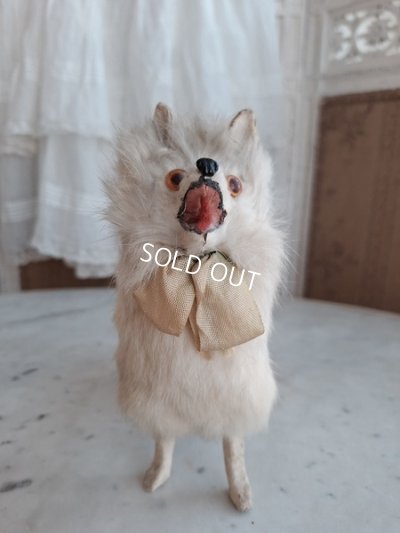 画像17: LouLouドッグ