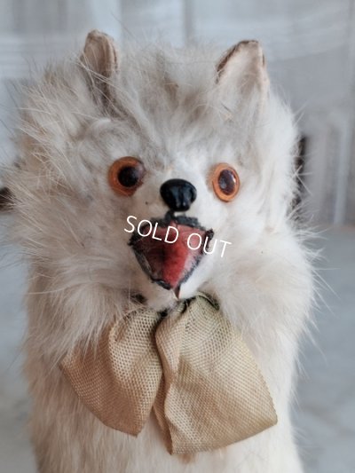 画像4: LouLouドッグ