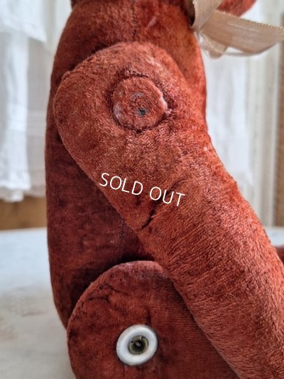 画像13: JPMフレンチテディベア