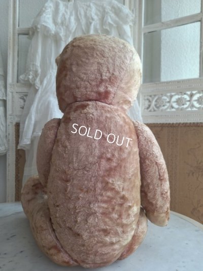 画像9: ピンクテディベア