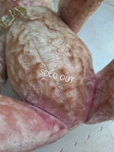 画像15: ピンクテディベア