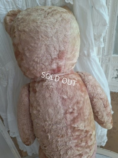 画像22: ピンクテディベア