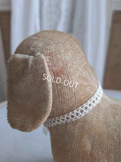 画像5: フランスのワンちゃん