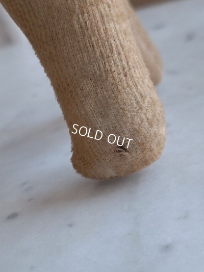 画像6: フランスのワンちゃん