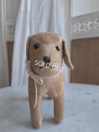 画像9: フランスのワンちゃん