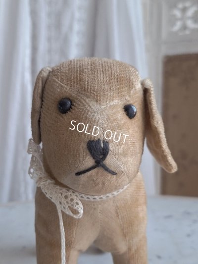 画像4: フランスのワンちゃん