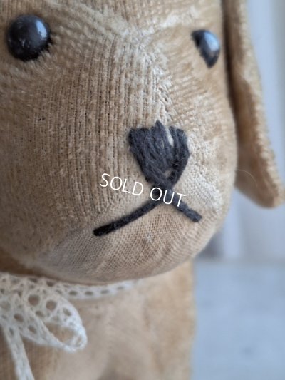 画像3: フランスのワンちゃん