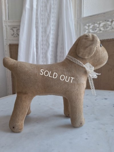 画像11: フランスのワンちゃん