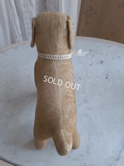 画像13: フランスのワンちゃん