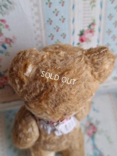 画像7: 小さなテディベア