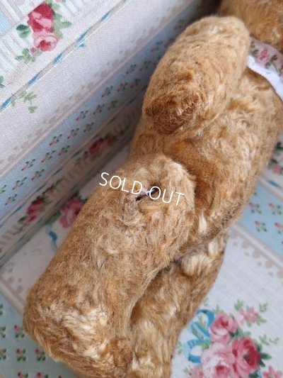 画像12: 小さなテディベア