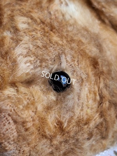 画像5: 小さなテディベア