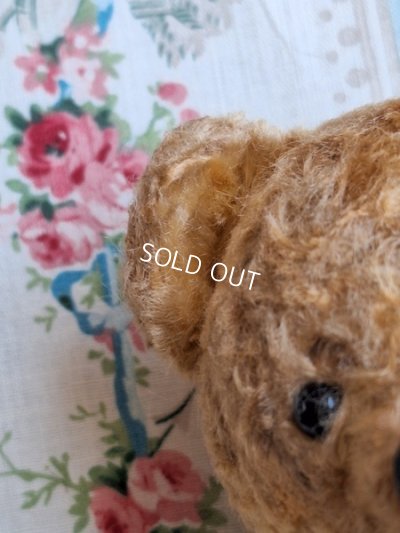 画像15: 小さなテディベア