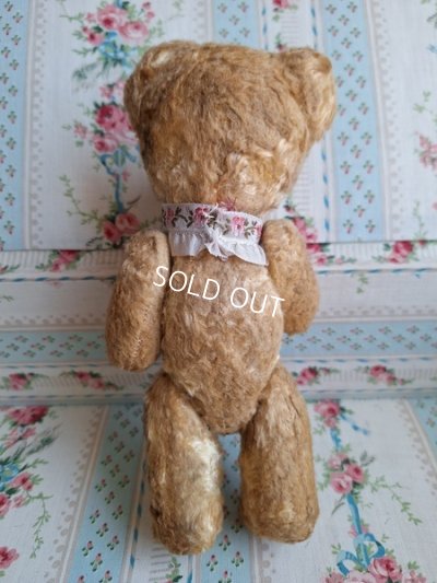 画像8: 小さなテディベア