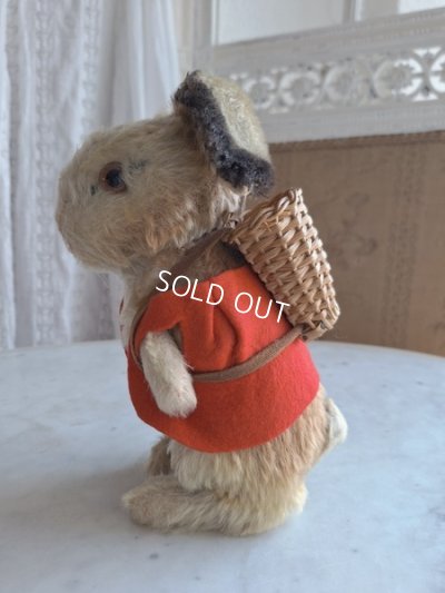 画像13: シュタイイースターバニー