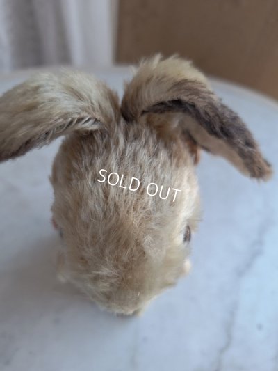 画像7: シュタイイースターバニー