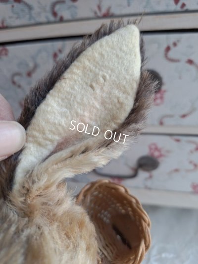 画像8: シュタイイースターバニー