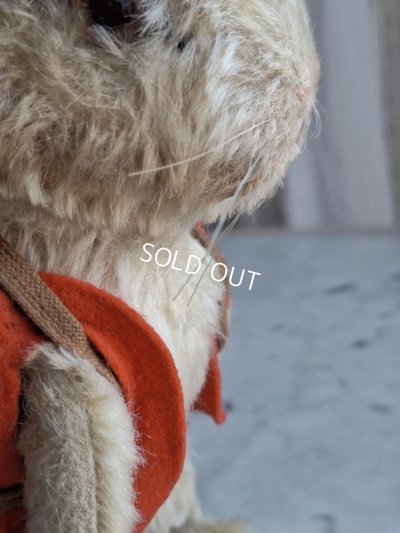 画像11: シュタイイースターバニー