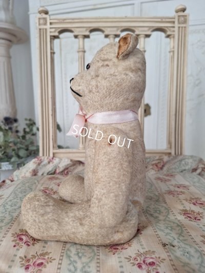 画像7: JPMフレンチテディベア