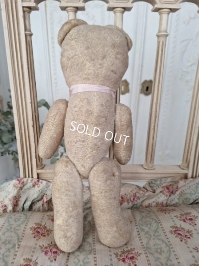 画像9: JPMフレンチテディベア