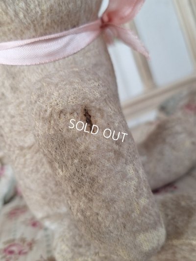 画像19: JPMフレンチテディベア