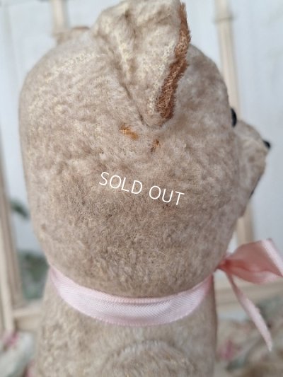 画像18: JPMフレンチテディベア