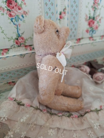 画像7: 小さなピンクテディベア