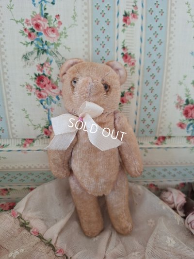 画像10: 小さなピンクテディベア