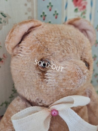 画像3: 小さなピンクテディベア