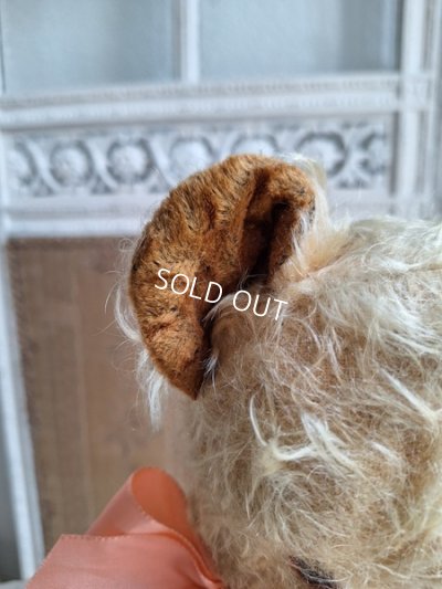画像11: アンティークモヘアテディベア