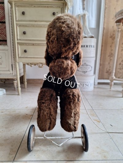 画像18: 車輪付プードル