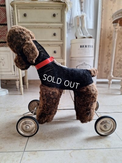 画像16: 車輪付プードル