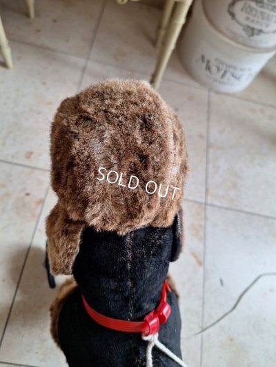 画像12: 車輪付プードル