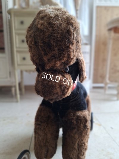 画像2: 車輪付プードル