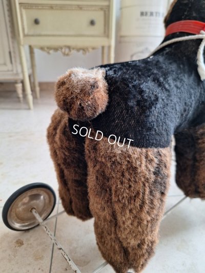 画像10: 車輪付プードル