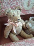 フレンチテディベア