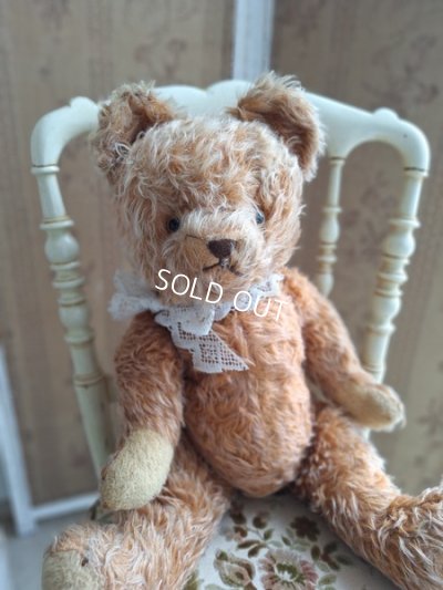antiqueteddybear