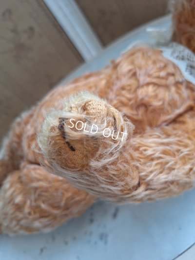 画像18: アンティークモヘアテディベア