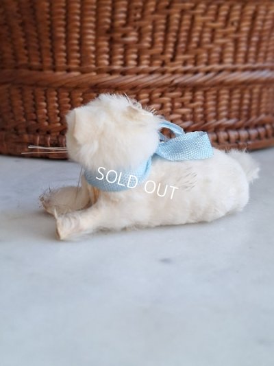 画像11: バスケット付猫