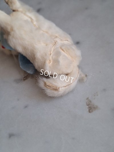 画像13: バスケット付猫